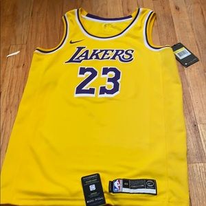 Lebron James Nike swingman jersey